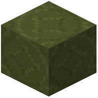 Starry Green Terracotta