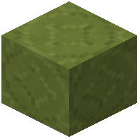 Starry Lime Terracotta