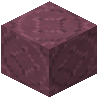Starry Purple Terracotta
