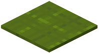Stringed Green Carpet