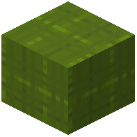 Stringed Green Wool