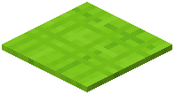 Stringed Lime Carpet