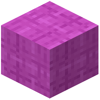 Stringed Magenta Wool