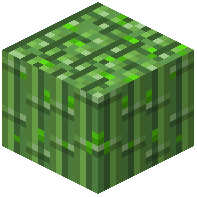 Sugarcane Dried Kelp Block