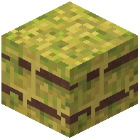 Swampy Hay Block