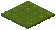 Tiled Green Carpet