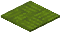 Tripped Green Carpet