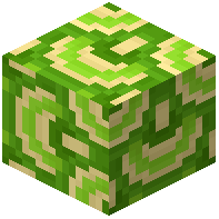 Waved Lime Glazed Terracotta