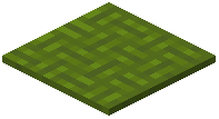 Woved Green Carpet