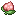 Pecha Berry
