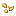 Golden Grass Seeds