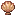 Seashell