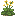 Wild Cabbage