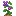 Wild Potato