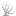 Bleached Bamboo Coral