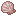 clam