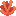 Red Algae