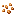 Tomato Seed