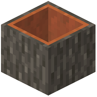 Acacia Hollow Log