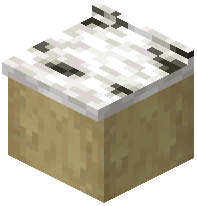 Birch Counter