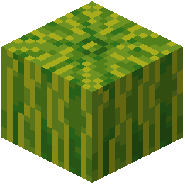 melon