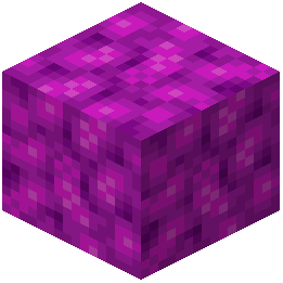 Bubble Coral Block