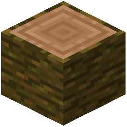 Jungle Log