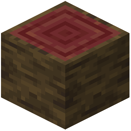 Mangrove Log