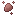 armadillo_essence