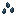 squid_seeds