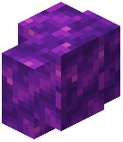 Ametrine Schist Wall
