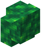 Jade Schist Wall
