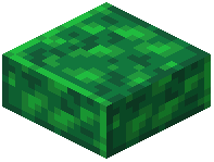 Polished Jade Schist Slab