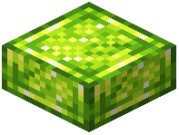 Polished Peridot Crystal Block Slab