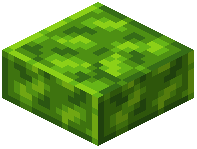 Polished Peridot Schist Slab