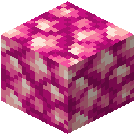 Block of Raw Necoium