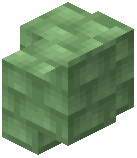 Green Silt Shingle Wall