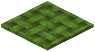 Mogmoss Rug