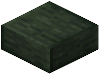 Polished Depthrock Slab